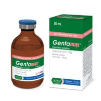 جنتامکس | Gentamax