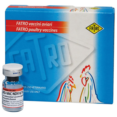 واکسن زنده نیوکاسل | BIO-VAC NDV 6/10 - بر علیه بیماری نیوکاسل ...