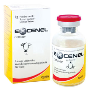 اکسنل® 1گرمی | Excenel® 1g