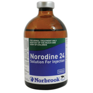 نورودین 24 | Norodine 24