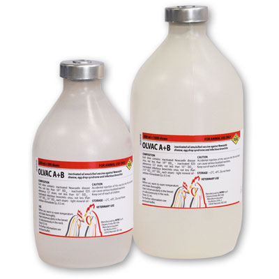 Olvac A+B