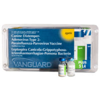 ونگارد® پلاس 5 ال4 | VANGUARD® PLUS 5 L4